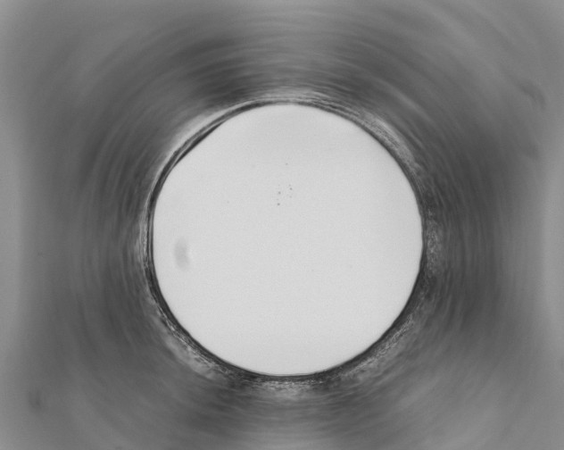 X0000111391044200908211357