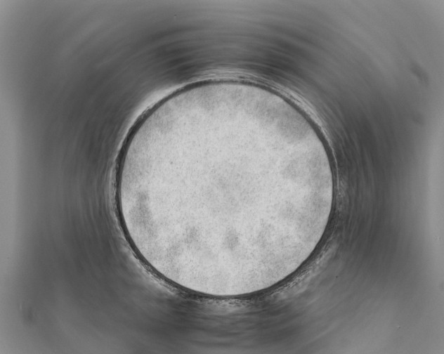 X0000111391045200908211357