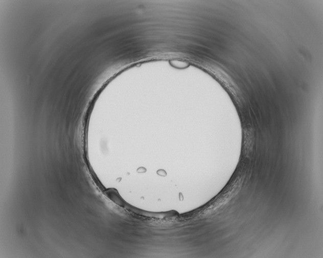 X0000111391046200908211357