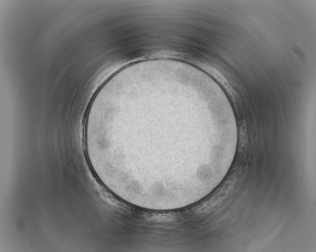 X0000111391047200908211357