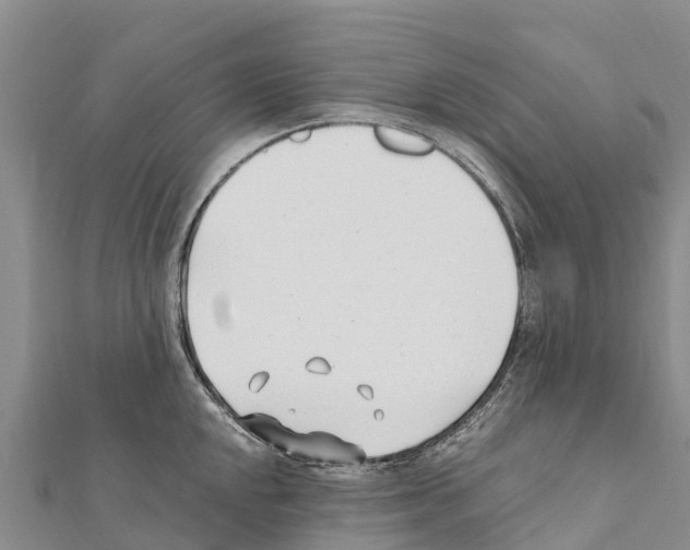X0000111391048200908211357