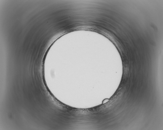 X0000111391050200908211357