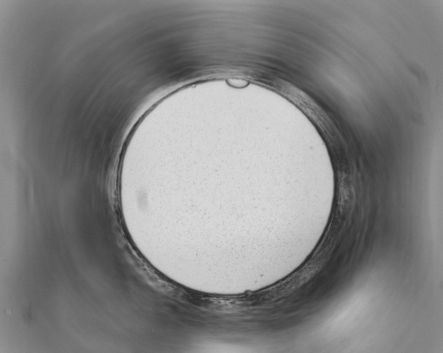 X0000111391052200908211357