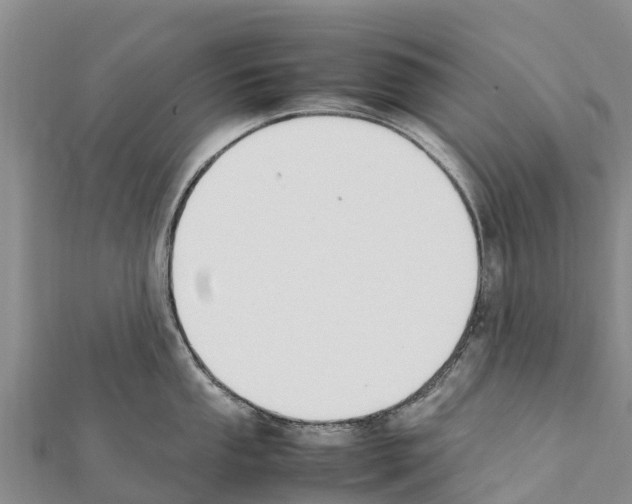 X0000111391053200908211357