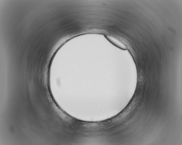 X0000111391054200908211357