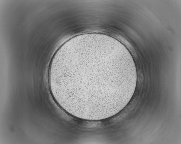 X0000111391055200908211357