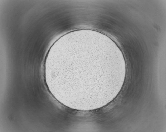 X0000111391056200908211357
