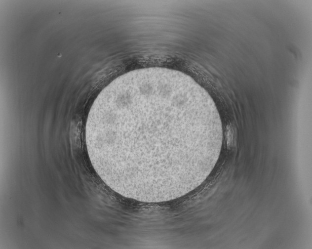 X0000111391059200908211357