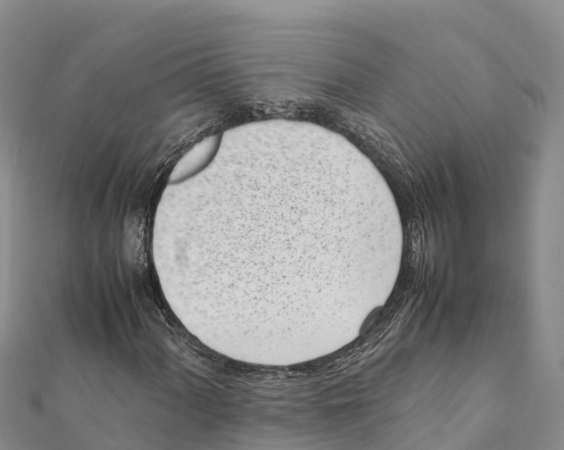 X0000111391060200908211357