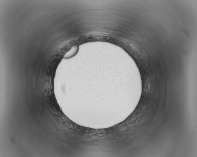 X0000111391062200908211357