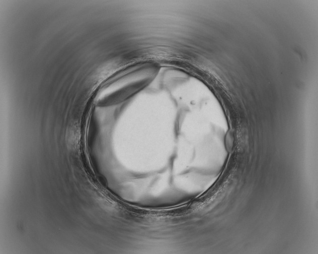 X0000111391065200908211357