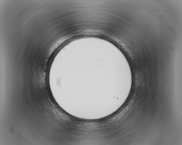 X0000111391066200908211357