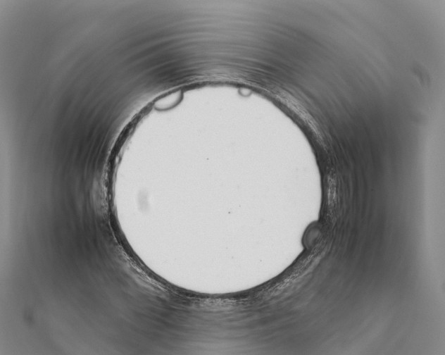X0000111391068200908211357