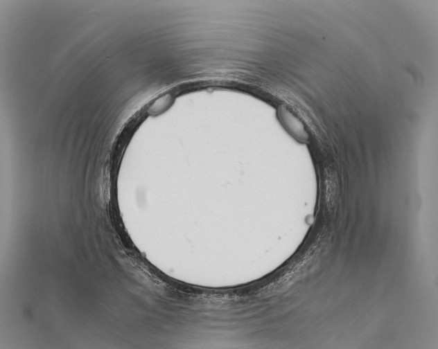 X0000111391069200908211357