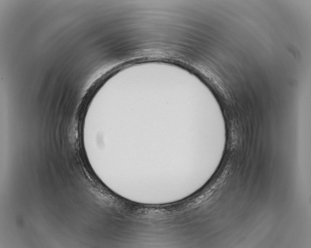 X0000111391070200908211357