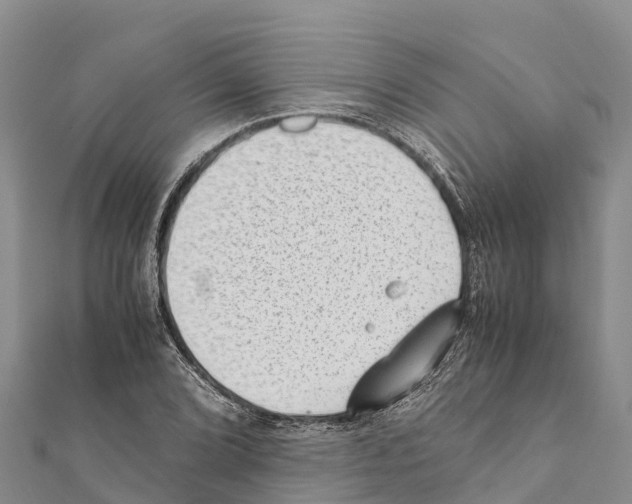 X0000111391072200908211356
