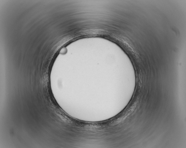 X0000111391073200908211356