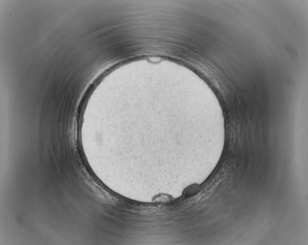 X0000111391076200908211356