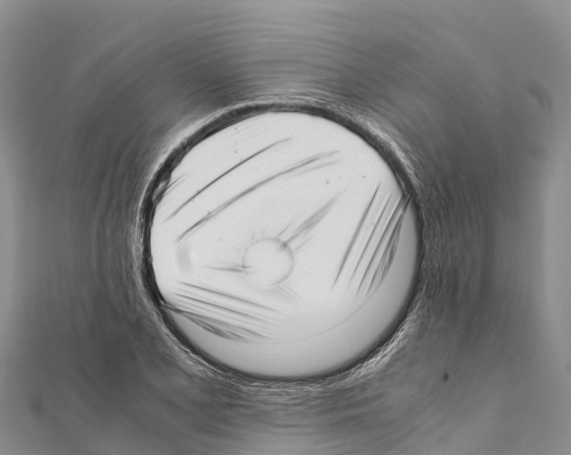X0000111391077200908211356