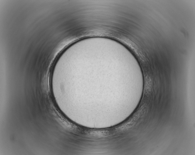 X0000111391078200908211356