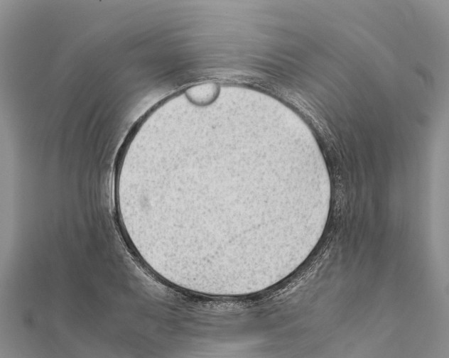 X0000111391079200908211356