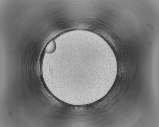 X0000111391080200908211356