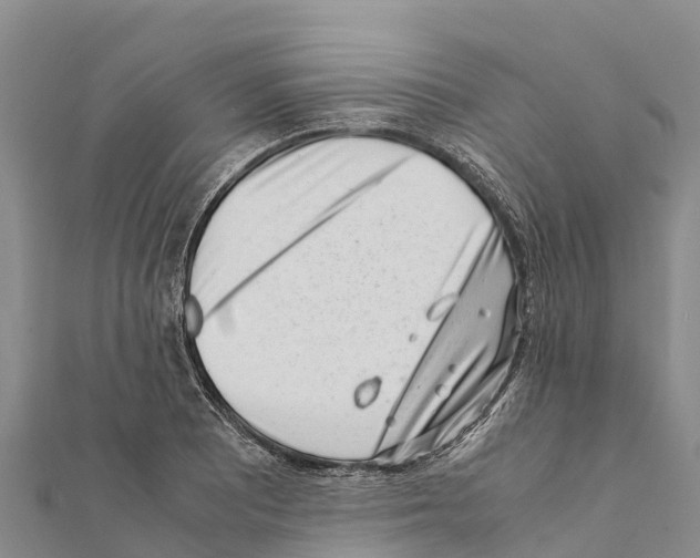 X0000111391081200908211356