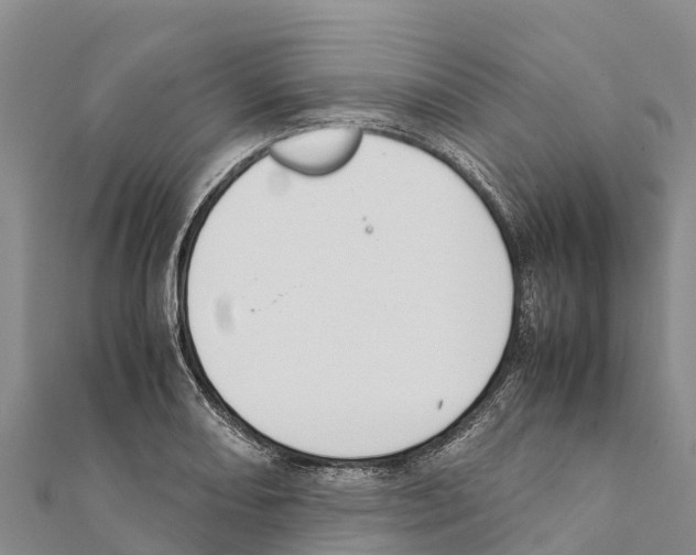 X0000111391082200908211356