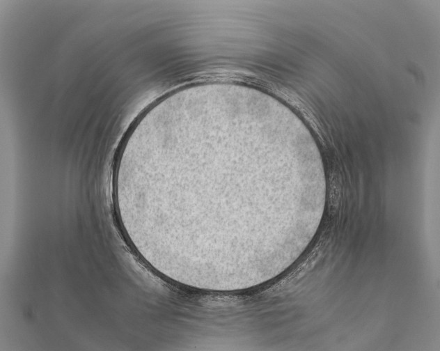 X0000111391083200908211356