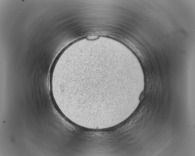 X0000111391084200908211356