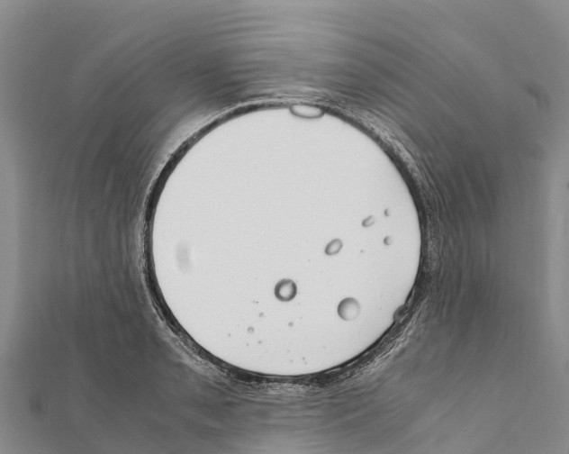 X0000111391085200908211356