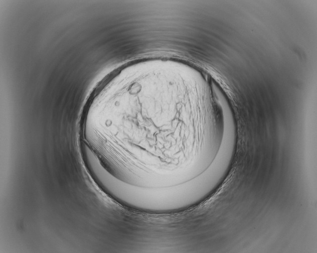 X0000111391086200908211356