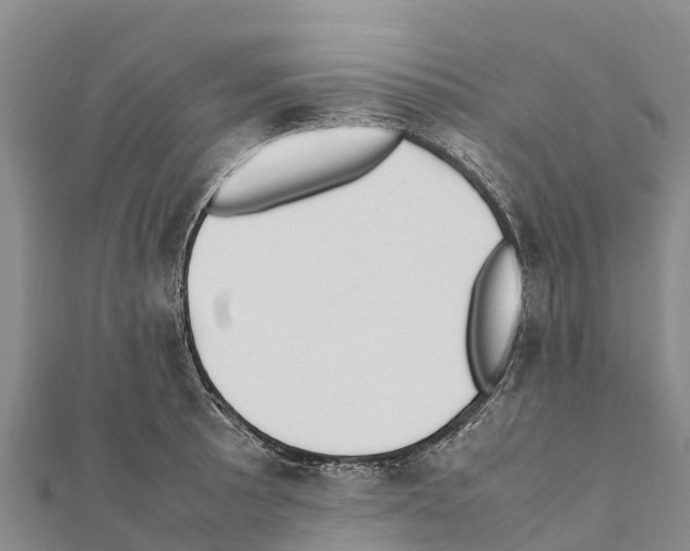 X0000111391089200908211356