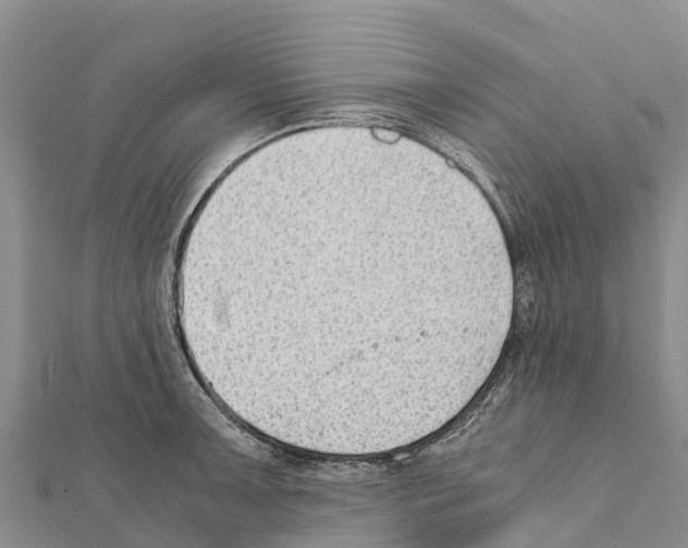 X0000111391091200908211356
