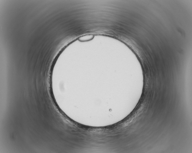 X0000111391093200908211356