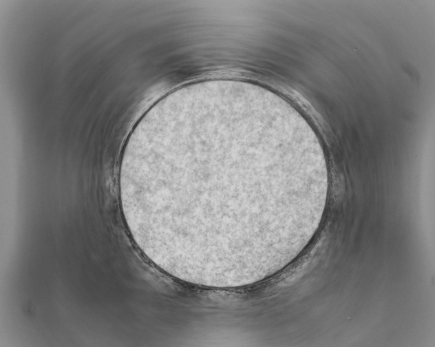 X0000111391097200908211356
