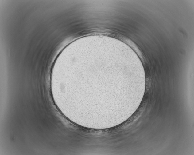 X0000111391099200908211356