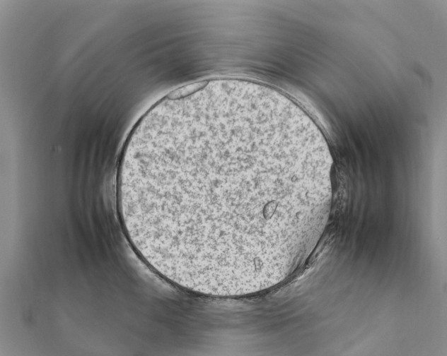 X0000111391100200908211356