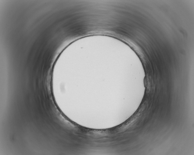 X0000111391102200908211356