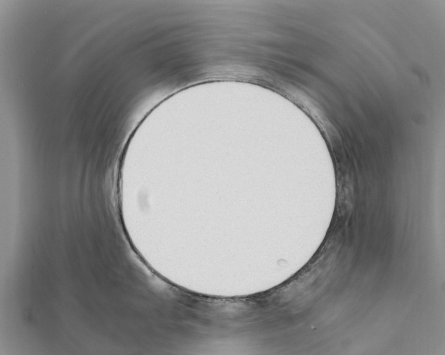 X0000111391103200908211356