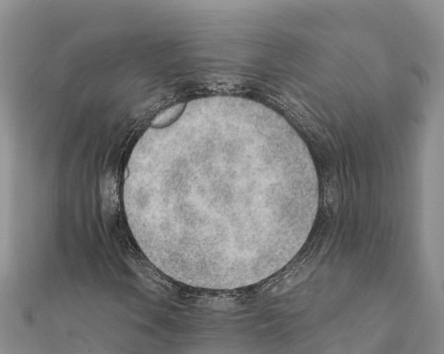 X0000111391106200908211355