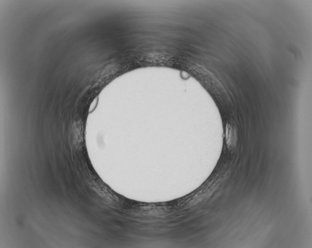 X0000111391107200908211355