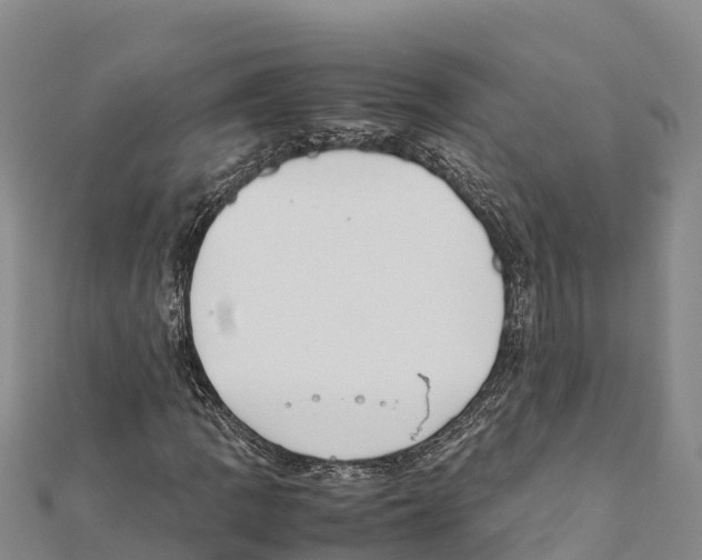 X0000111391109200908211355