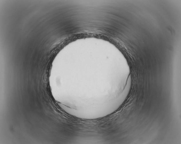 X0000111391110200908211355