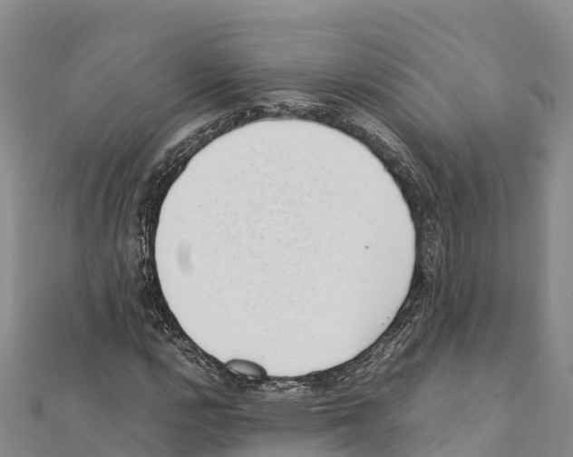 X0000111391112200908211355