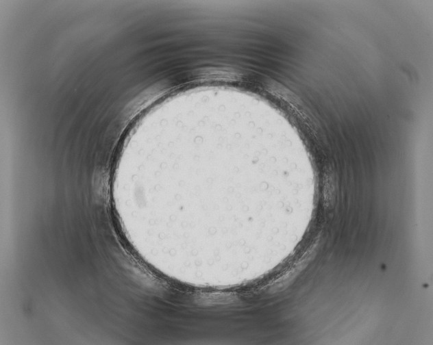 X0000111391113200908211355