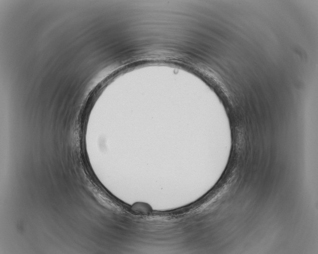 X0000111391114200908211355