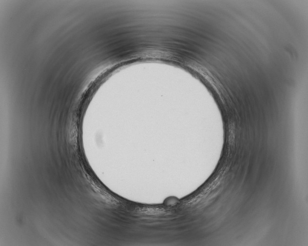 X0000111391115200908211355