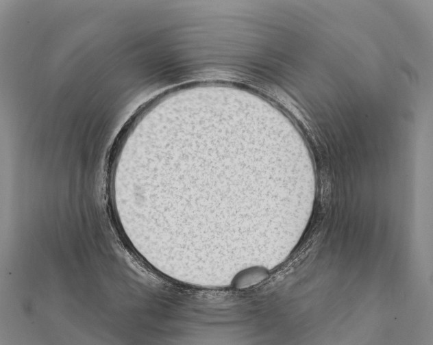 X0000111391116200908211355