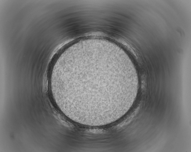 X0000111391117200908211355